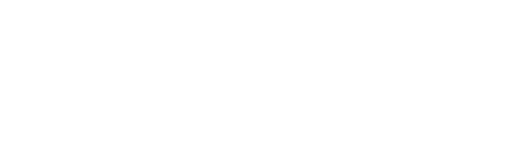 NXT informatica logo white